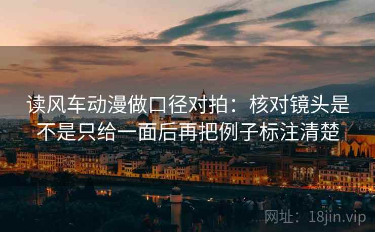 读风车动漫做口径对拍：核对镜头是不是只给一面后再把例子标注清楚