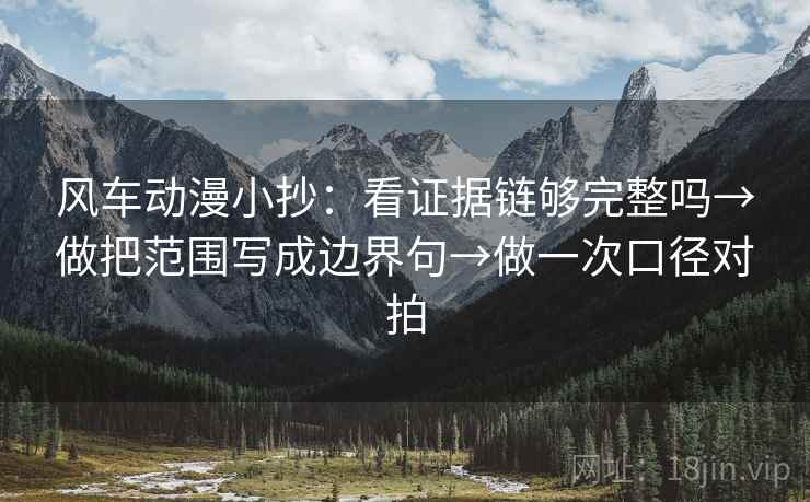 风车动漫小抄：看证据链够完整吗→做把范围写成边界句→做一次口径对拍